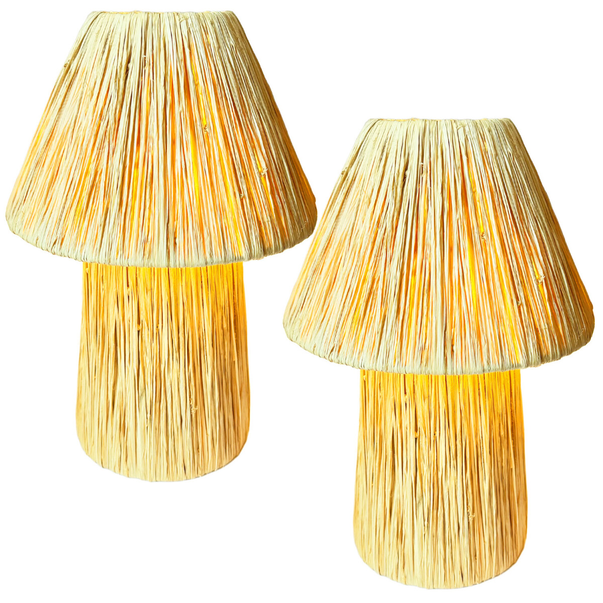 Lot de 2 lampes de table décorati box